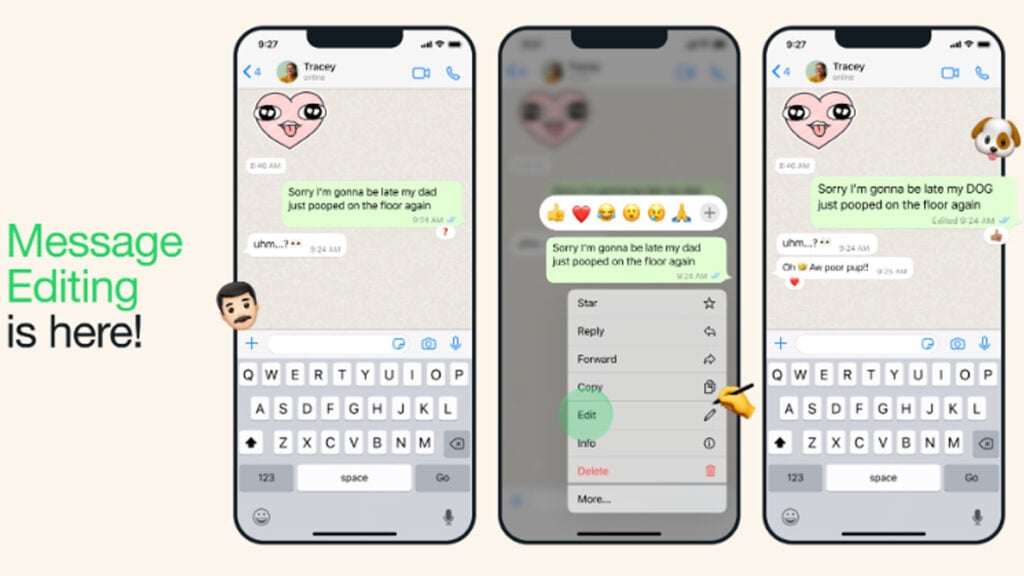 Fitur Edit Pesan Whatsapp