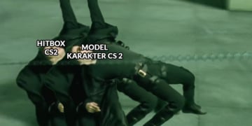 Hitbox Counter Strike 2