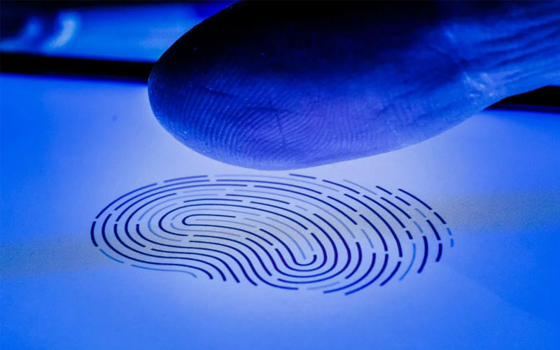 Chameleon Malware Fingerprint