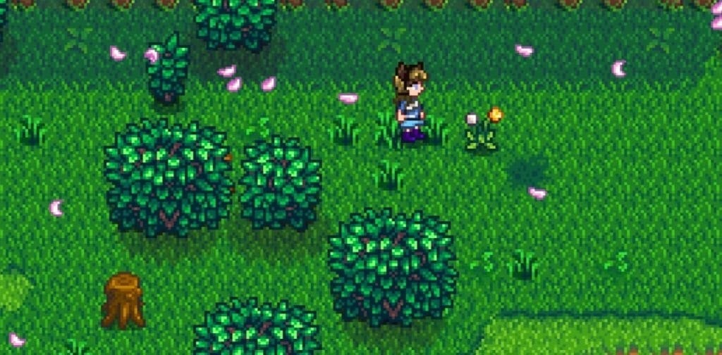 tips foraging di stardew valley