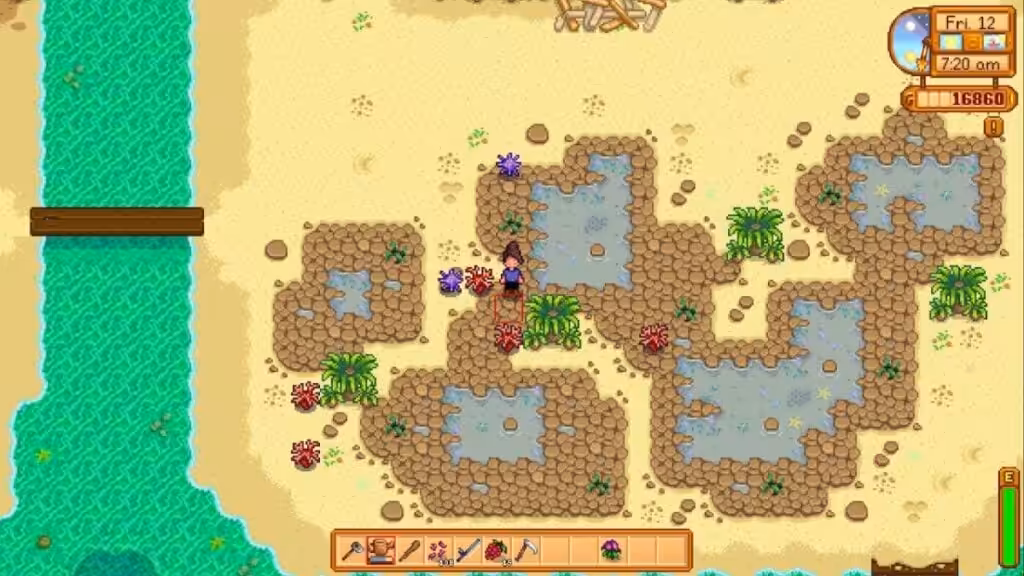 stardew valley foraging