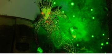 skin evil groot call of duty