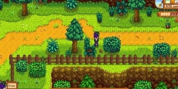 Tips Foraging Stardew Valley
