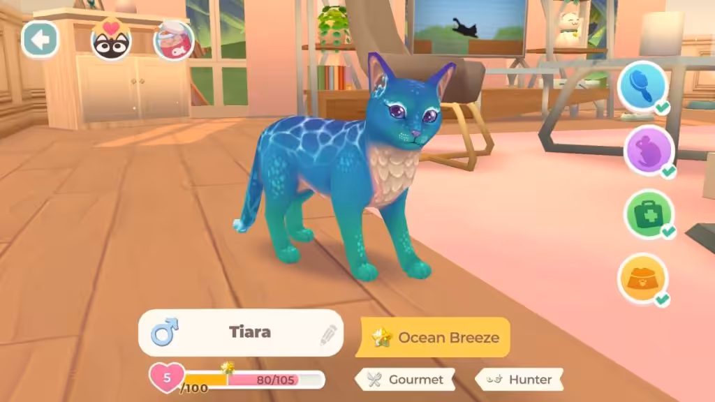 Cat Rescue Story