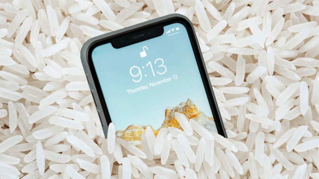 P1 91032581 Apple iPhone en arroz