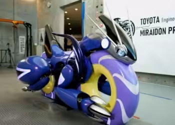 Pokemon X Toroya Miraidon Project Fi