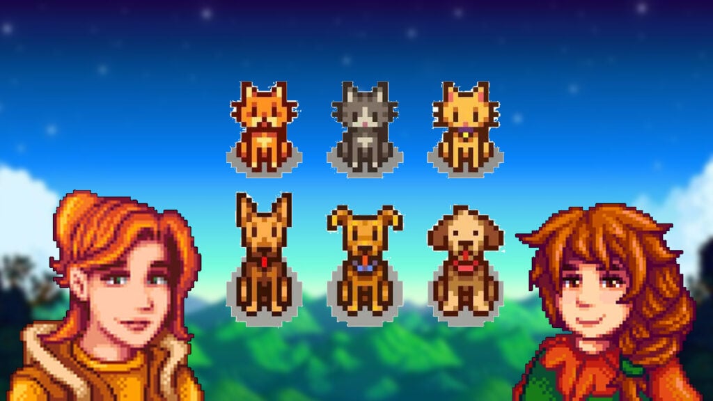 pet baru stardew valley