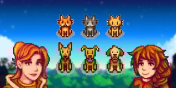 pet baru stardew valley