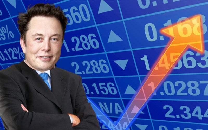 Elon Musk Stonk 2024