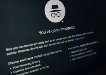 Data Pengguna Chrome Incognito