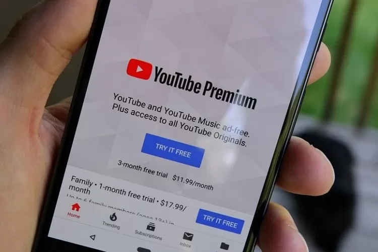 Youtube Premium Pakai Vpn
