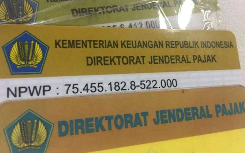 Insiden Kebocoran Data Npwp 2024