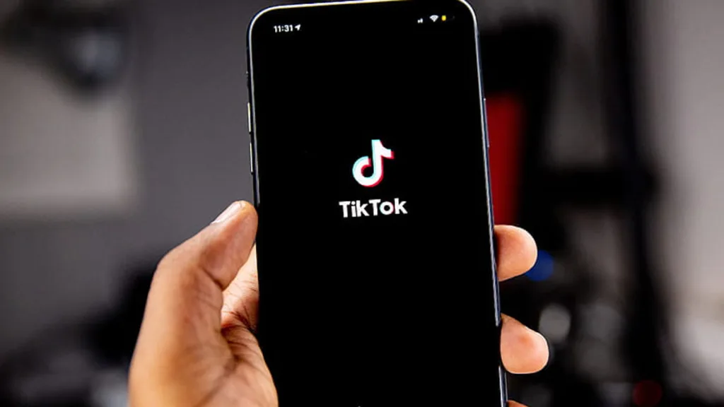 Pengguna Media Sosial Tiktok