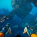 Subnautica 2 Steam Fi