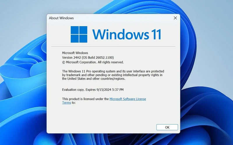 Tampilan Windows 11 24h2