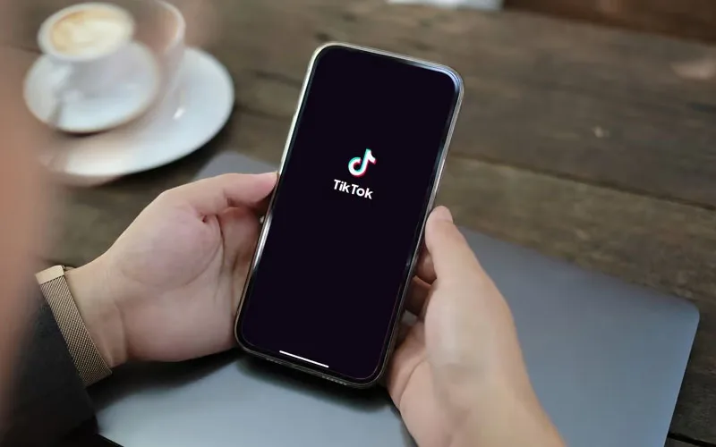 User Tiktok Di Indonesia