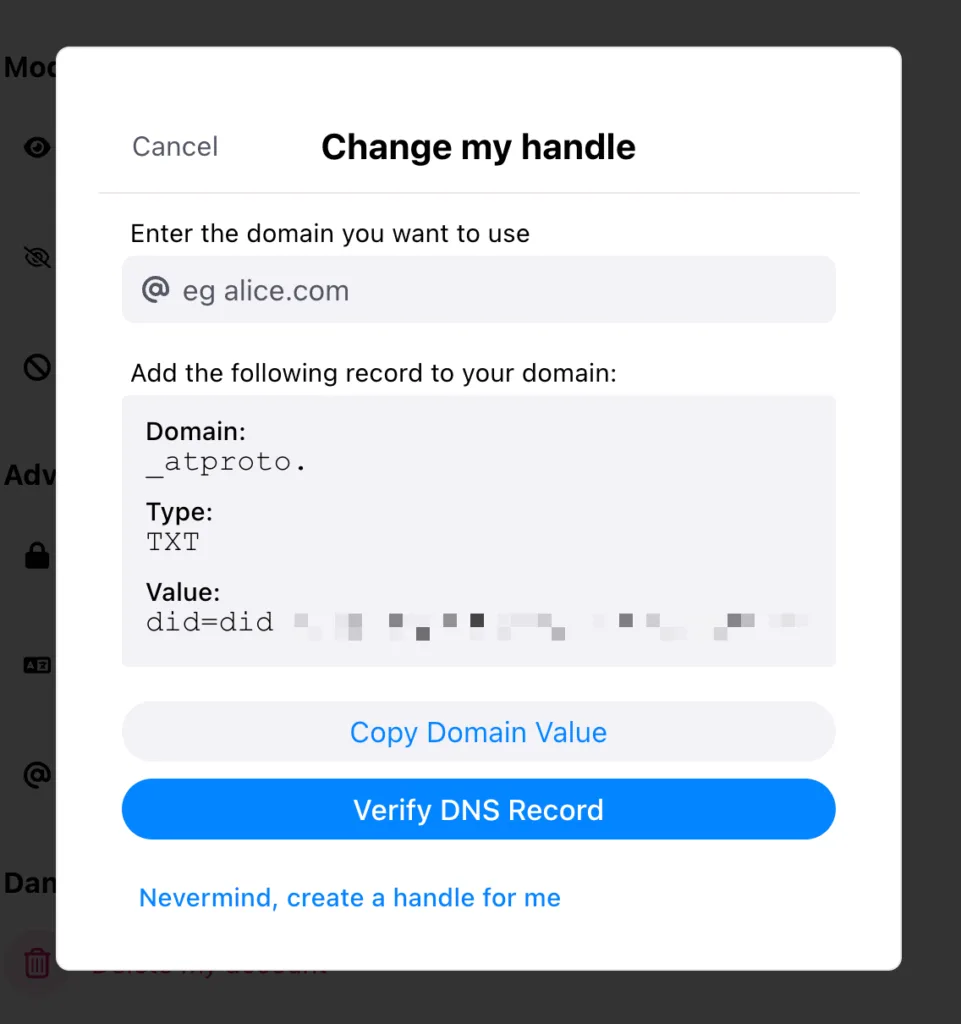 Bluesky Modal Domain