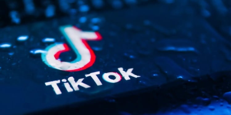 Ceo Tiktok Minta Saran