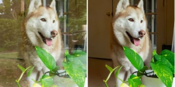 Adobe Reflection Removal