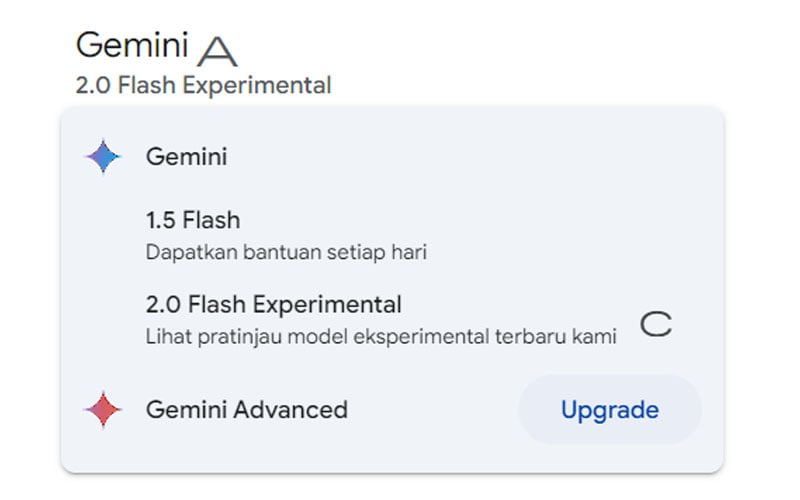 Google Gemini 2 Flash Experimental Bima