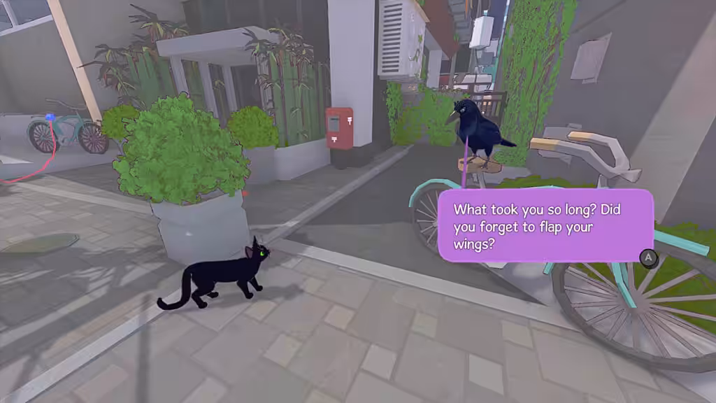 Little Kitty, Big City