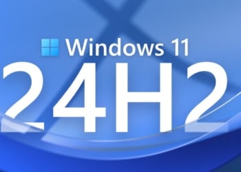 Bug Windows 11 24h2