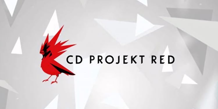 CD Projekt Red DEI