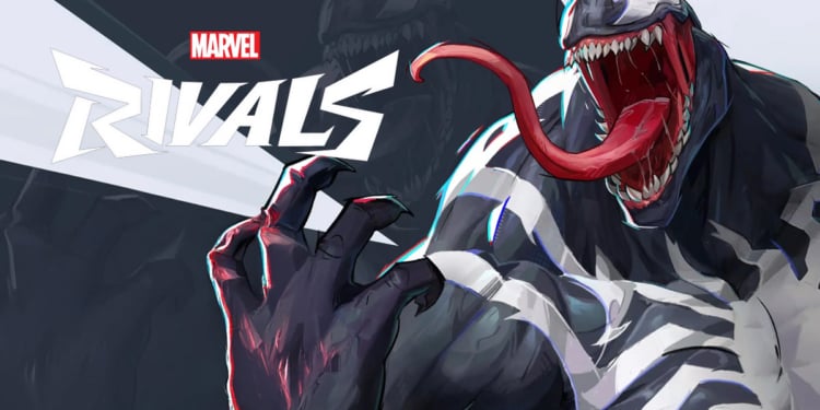 Marvel Rivals Banned Player