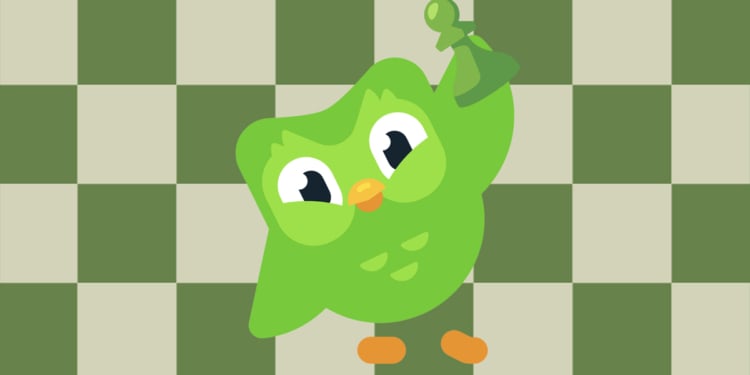 Fitur Duolingo Terbaru