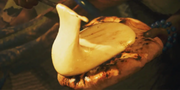 Monster Hunter Wilds Roti Naan Dengan Keju