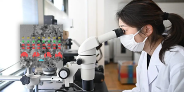 Video Game Terkecil di Dunia