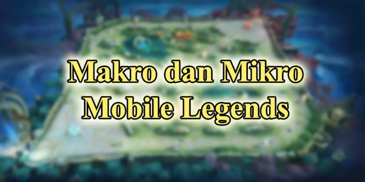 Makro Dan Mikro Ml