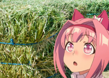 Kuda Haru Urara Uma Musume