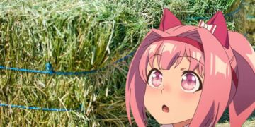 Kuda Haru Urara Uma Musume