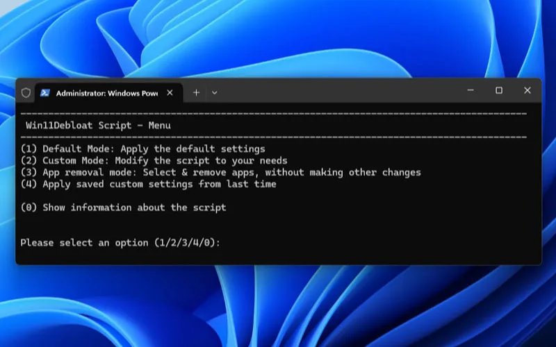 Apa Itu Windows 11 Debloater