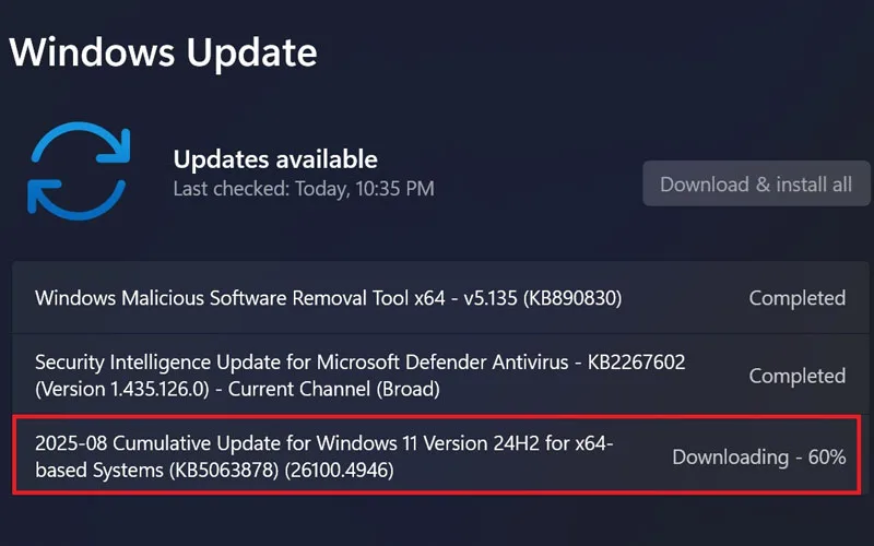 Microsoft Investigasi Penyebab Masalah SSD, Benarkah Update Penyebabnya? 3 Laman Windows Update Kb5063878
