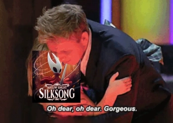 Fans Hollow Knight Silksong