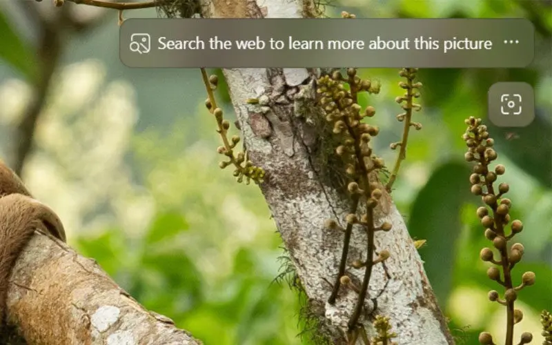 Microsoft Bing Wallpaper Langsung Buka Bing ketika Pengguna Klik Desktop