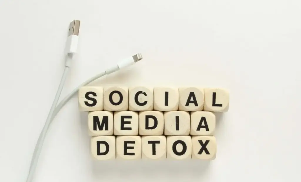 Pentingnya media sosial detox