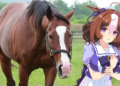 Fans Meisho Doto Umamusume Berhasil Kumpulkan Dana ¥94 Juta untuk Bangun Kembali Kandang Kuda Aslinya 23 Fans Meisho Doto Umamusume