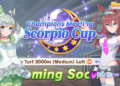 Guide Champions Meeting Scorpio Cup Umamusume