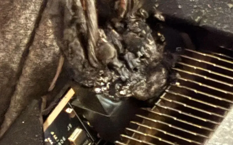 Konekktor RTX 5090 Terbakar