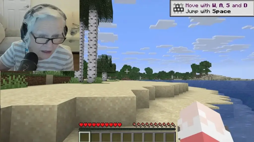 Streamer Nenek Minecraft