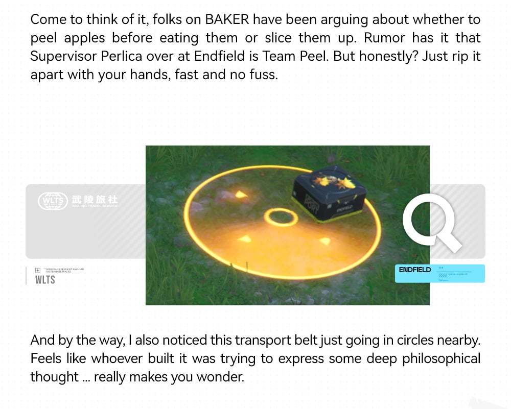 Developer Arknights Endfield Player