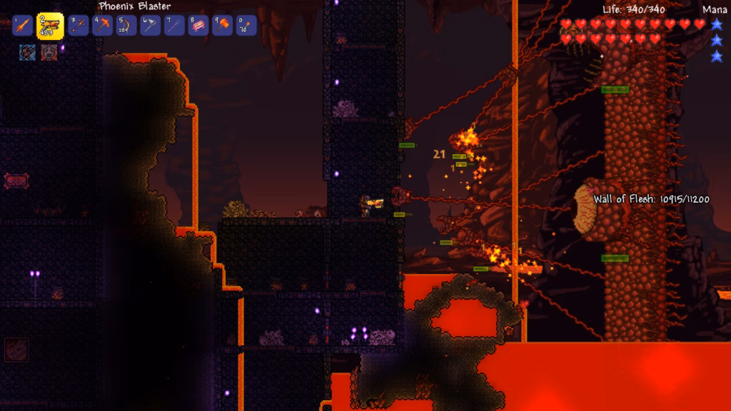 Developer Terraria Player