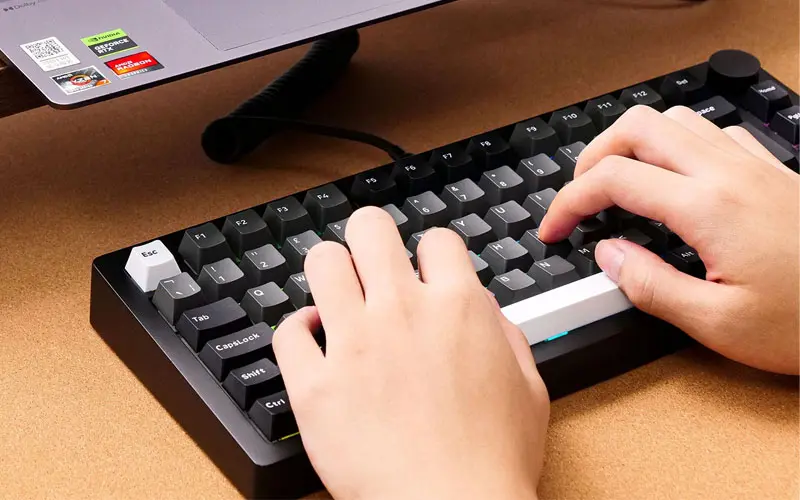 Keyboard Rapid Trigger Di 2026